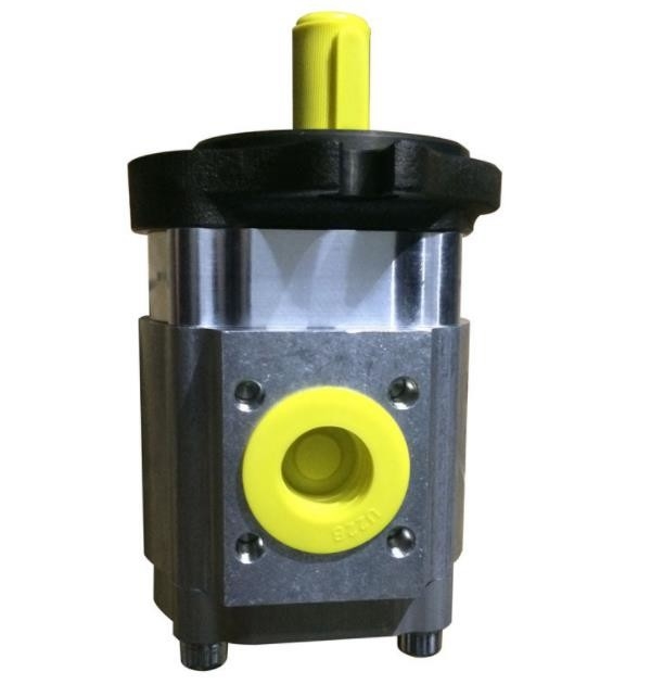 EIPH6-064RK23 Hydraulic Machine Pump EIPH6-080RK23 EIPC3-020RA23
